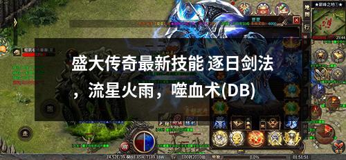 盛大传奇最新技能 逐日剑法，流星火雨，噬血术(DB)