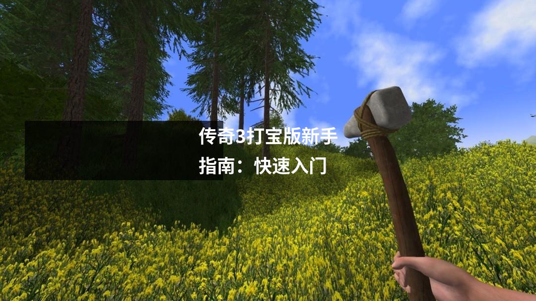 传奇3打宝版新手指南:快速入门