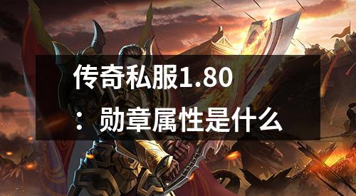 传奇私服1.80:勋章属性是什么