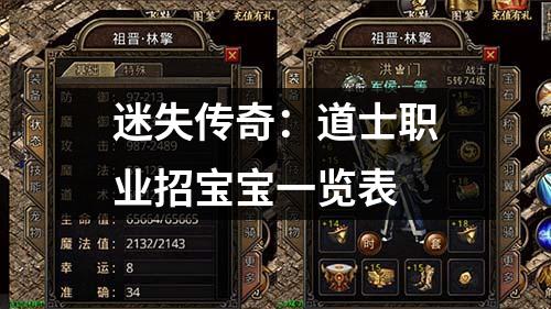 迷失传奇：道士职业招宝宝一览表