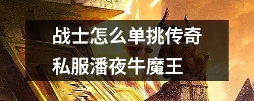 战士怎么单挑传奇私服潘夜牛魔王